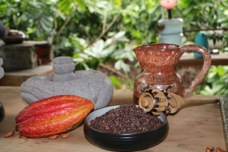 Tour de Chocolate & Café Edén photo 3